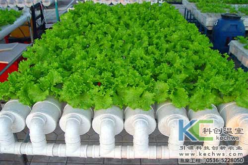 無土栽培，無土栽培技術，無土栽培設備