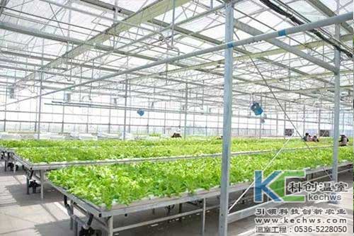 無土栽培，無土栽培技術(shù)，無土栽培設(shè)備