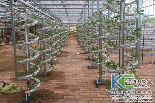 立體栽培，無土栽培，無土栽培技術(shù)