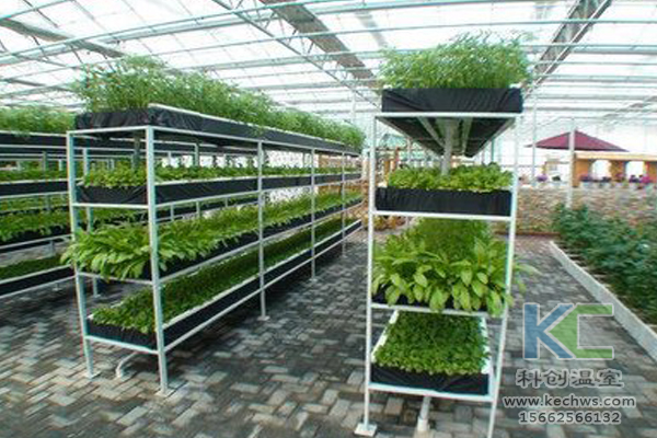 有機(jī)蔬菜栽培，無(wú)土栽培技術(shù)，無(wú)土栽培，溫室大棚
