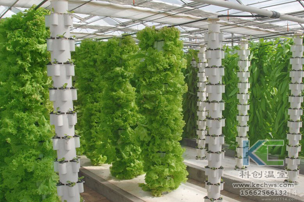 無土栽培，無土栽培技術(shù)，無土栽培設(shè)備