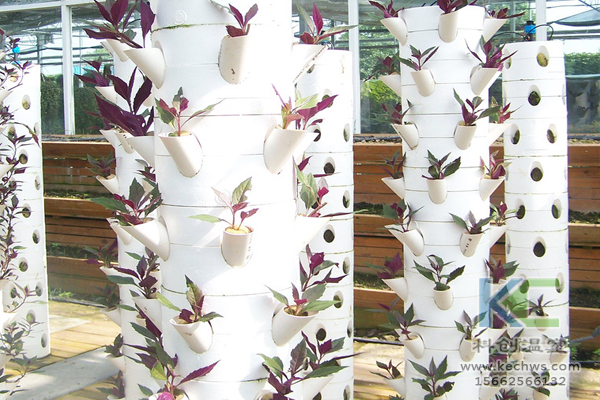 無土栽培，無土栽培技術，無土栽培設備