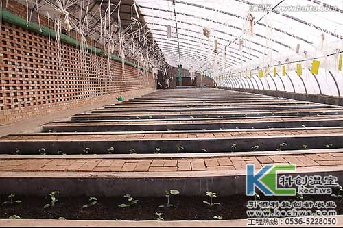 無土栽培，無土栽培技術，無土栽培設備