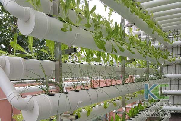 無土栽培，無土栽培技術(shù)，無土栽培設(shè)備