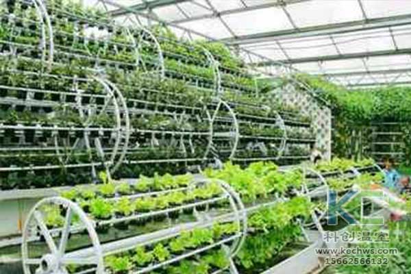 無土栽培，無土栽培技術，無土栽培設備