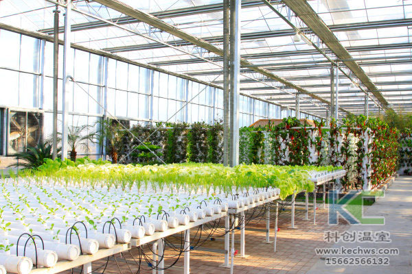 無土栽培，無土栽培技術，無土栽培設備