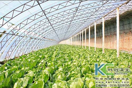 無土栽培，無土栽培技術，無土栽培設備