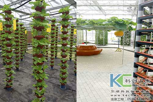 無(wú)土栽培，無(wú)土栽培案例