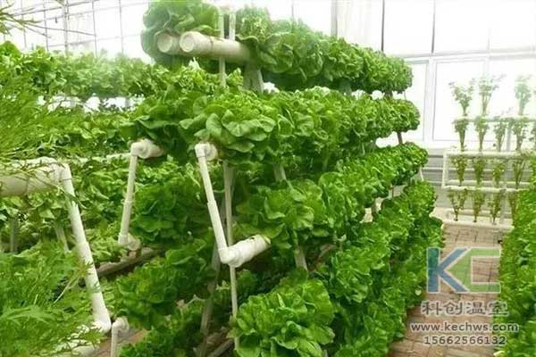 無土栽培，無土栽培技術(shù)，無土栽培設(shè)備