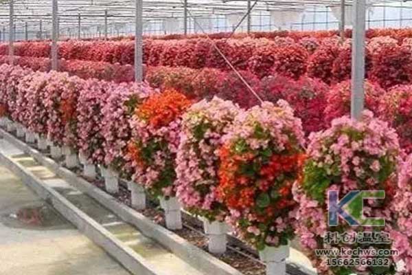 無(wú)土栽培，無(wú)土栽培技術(shù)，無(wú)土栽培設(shè)備