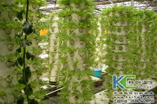 無土栽培，無土栽培技術(shù)，無土栽培設(shè)備