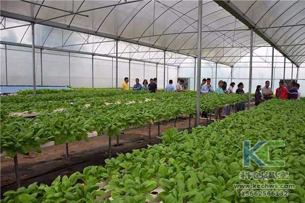 無土栽培，無土栽培技術，無土栽培設備