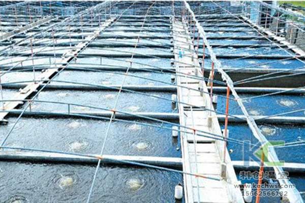 無土栽培，無土栽培技術(shù)，無土栽培設(shè)備