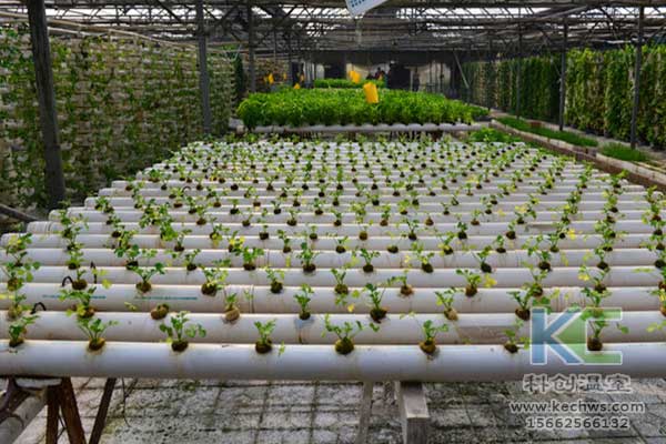 無土栽培，無土栽培技術，無土栽培設備