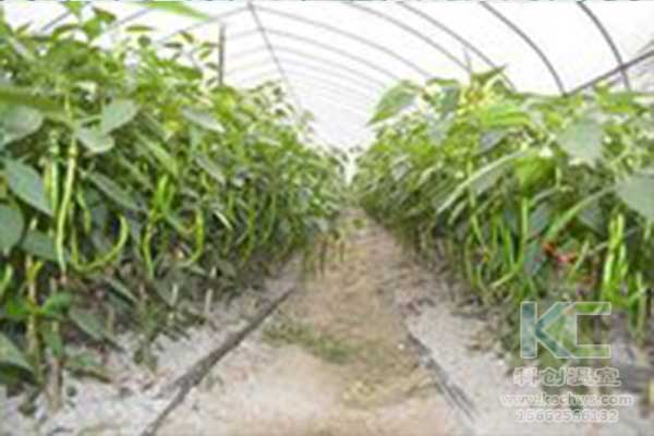 無土栽培，無土栽培技術，無土栽培設備