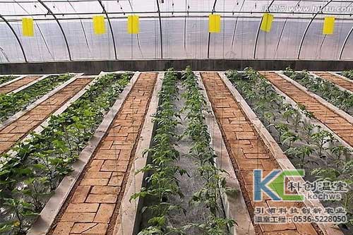 無(wú)土栽培，無(wú)土栽培技術(shù)，無(wú)土栽培設(shè)備