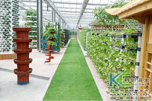 無(wú)土栽培，無(wú)土栽培案例