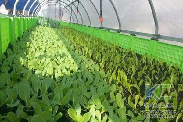 無土栽培，無土栽培技術(shù)，無土栽培設(shè)備