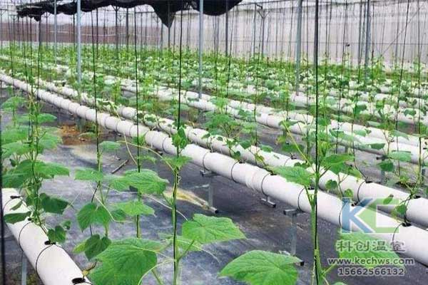 無土栽培，無土栽培技術，無土栽培設備