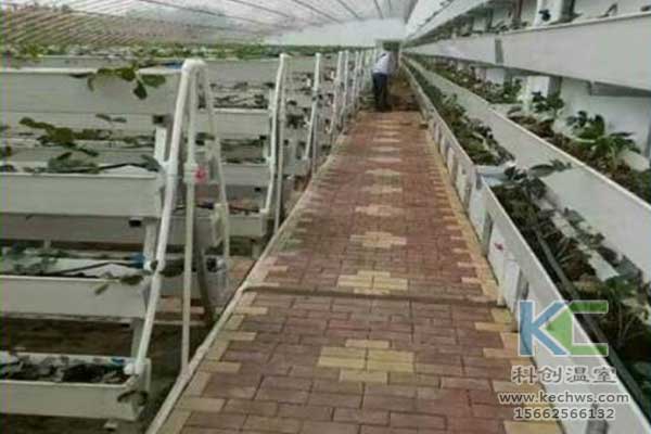 無土栽培,無土栽培技術(shù),無土栽培設(shè)備