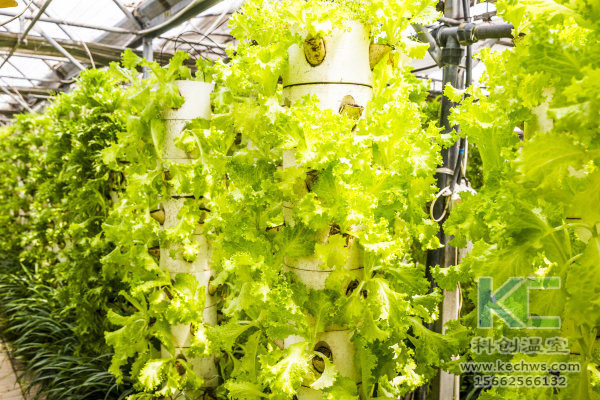 無土栽培,無土栽培技術,無土栽培設備