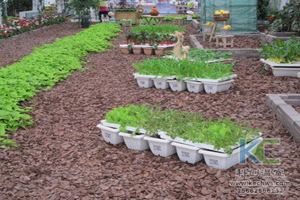 無(wú)土栽培技術(shù)，無(wú)土栽培設(shè)備，無(wú)土栽培，溫室大棚