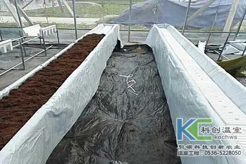 無土栽培，無土栽培技術，無土栽培設備