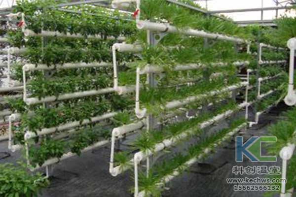 無土栽培，無土栽培技術，無土栽培設備