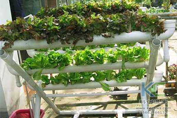 無土栽培，無土栽培技術，無土栽培設備