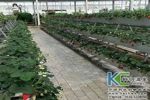 無土栽培，無土栽培技術(shù)，無土栽培設備