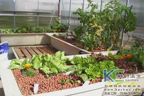 無土栽培，無土栽培技術，無土栽培設備