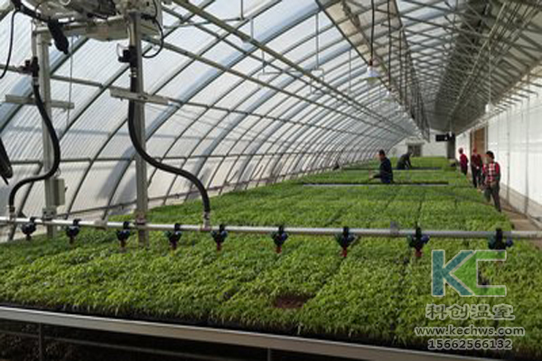 無(wú)土栽培技術(shù),無(wú)土栽培設(shè)備,營(yíng)養(yǎng)液,溫室大棚
