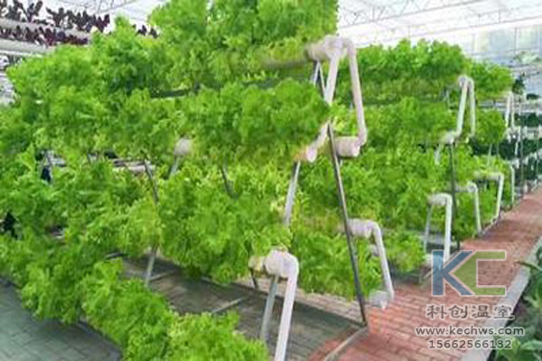 無(wú)土栽培技術(shù)，無(wú)土栽培設(shè)備，無(wú)土栽培，溫室大棚