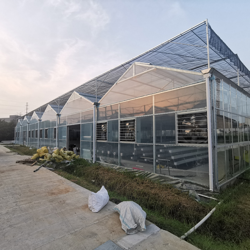 無土栽培，無土栽培技術，無土栽培設備