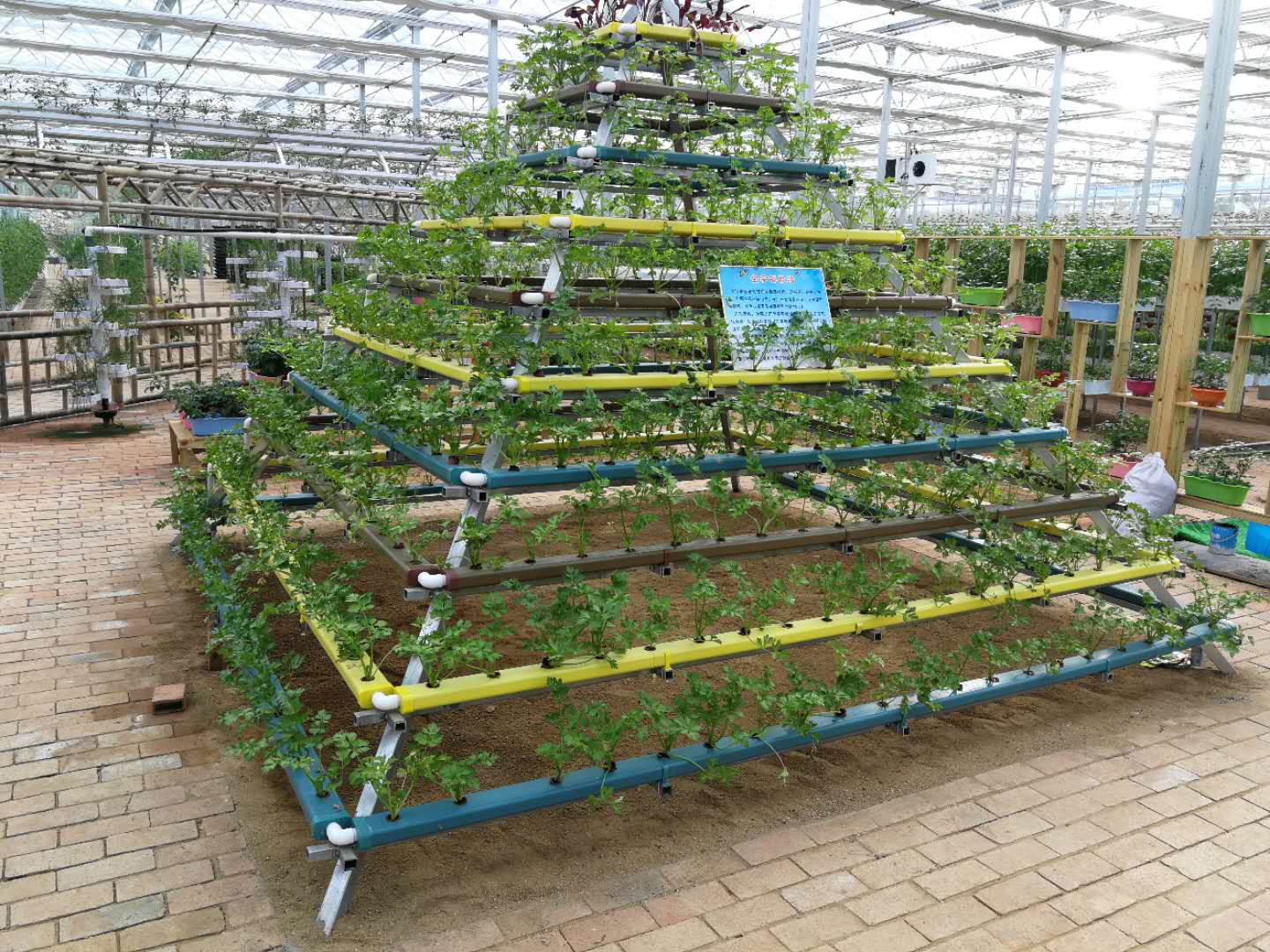 無(wú)土栽培，無(wú)土栽培技術(shù)，無(wú)土栽培設(shè)備