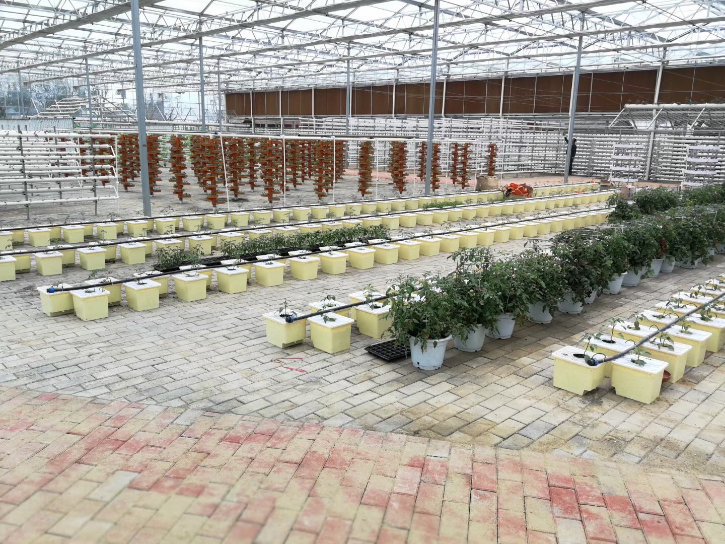 無(wú)土栽培，無(wú)土栽培技術(shù)，無(wú)土栽培設(shè)備