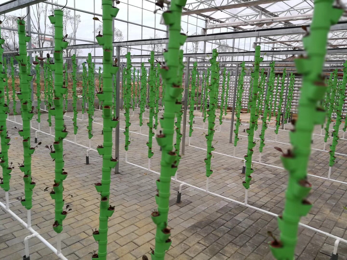 無(wú)土栽培，無(wú)土栽培技術(shù)，無(wú)土栽培設(shè)備