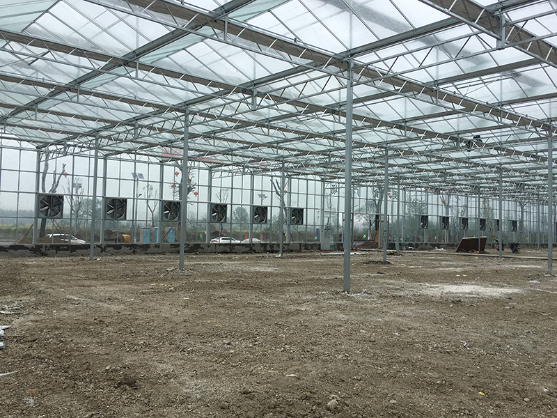 無土栽培,無土栽培技術,無土栽培設備