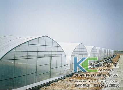 無土栽培，無土栽培技術，無土栽培設備