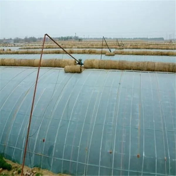 無土栽培，無土栽培技術，無土栽培設備