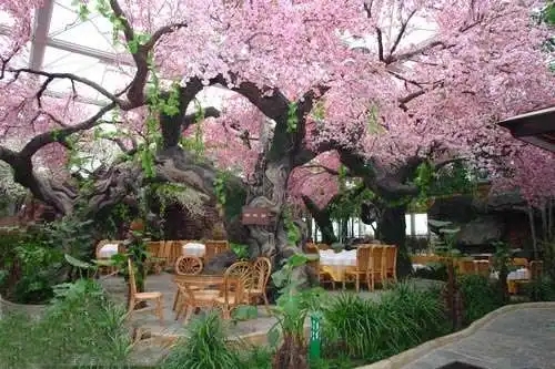 無土栽培，無土栽培技術，無土栽培設備