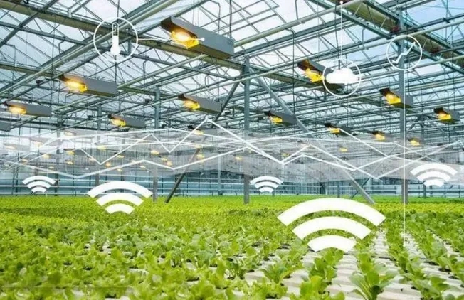 無土栽培，無土栽培技術，無土栽培設備