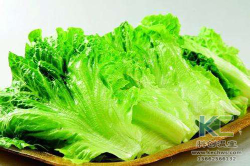 無土栽培，無土栽培技術(shù)，無土栽培設備