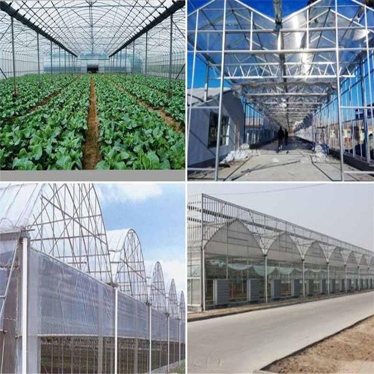 無土栽培，無土栽培技術，無土栽培設備