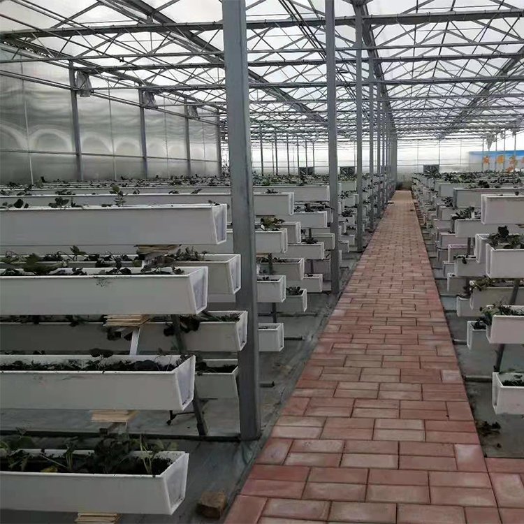 無土栽培，無土栽培技術，無土栽培設備