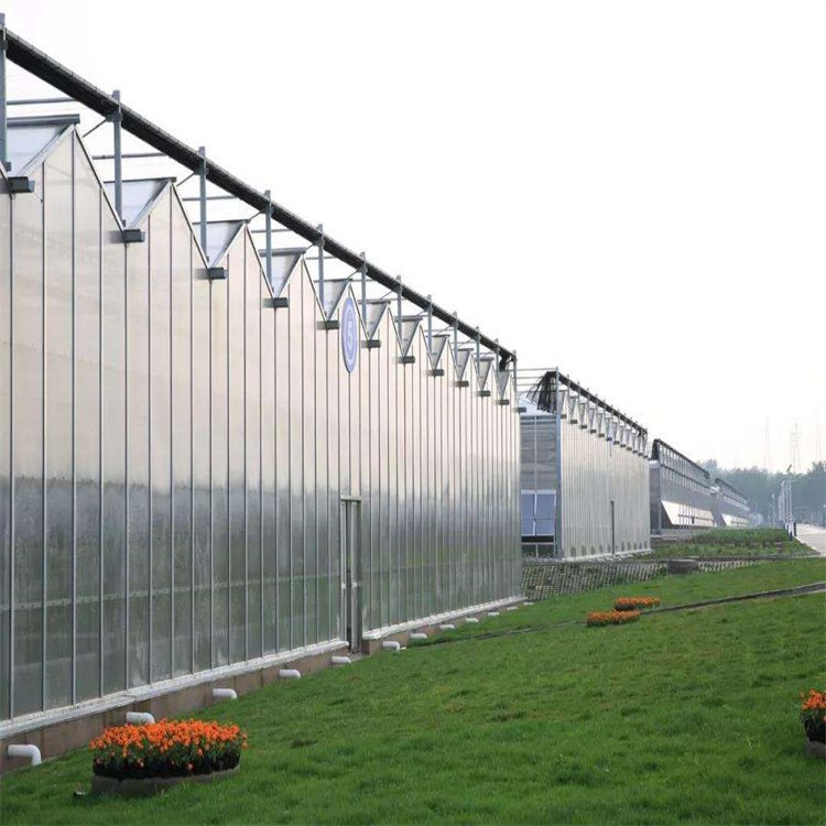 無土栽培，無土栽培技術，無土栽培設備