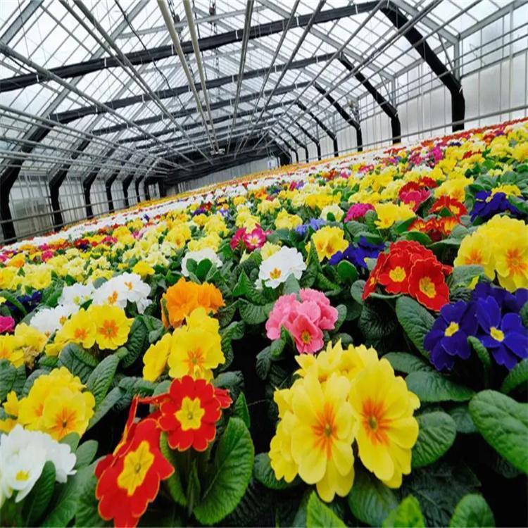 無土栽培，無土栽培技術，無土栽培設備