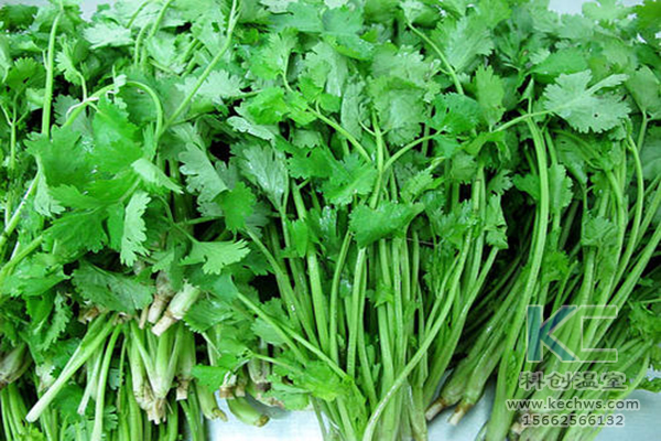 無土栽培，無土栽培技術(shù)，無土栽培設(shè)備