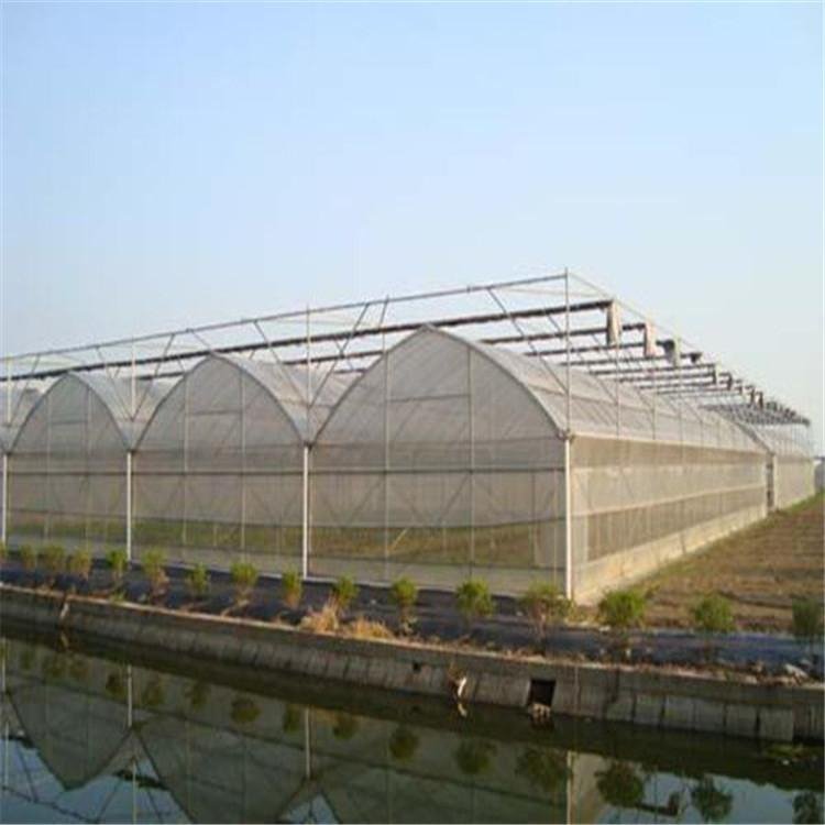 無土栽培，無土栽培技術，無土栽培設備