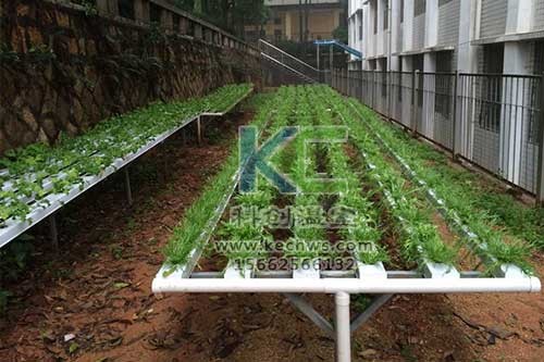 無土栽培，無土栽培技術，無土栽培設備